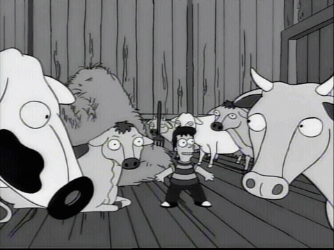 Vacas se meten a campo de fútbol y ya ni supimos quién habrá “ganado”