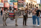 El Zonkey: El Emblema Rayado de la Avenida Revolución