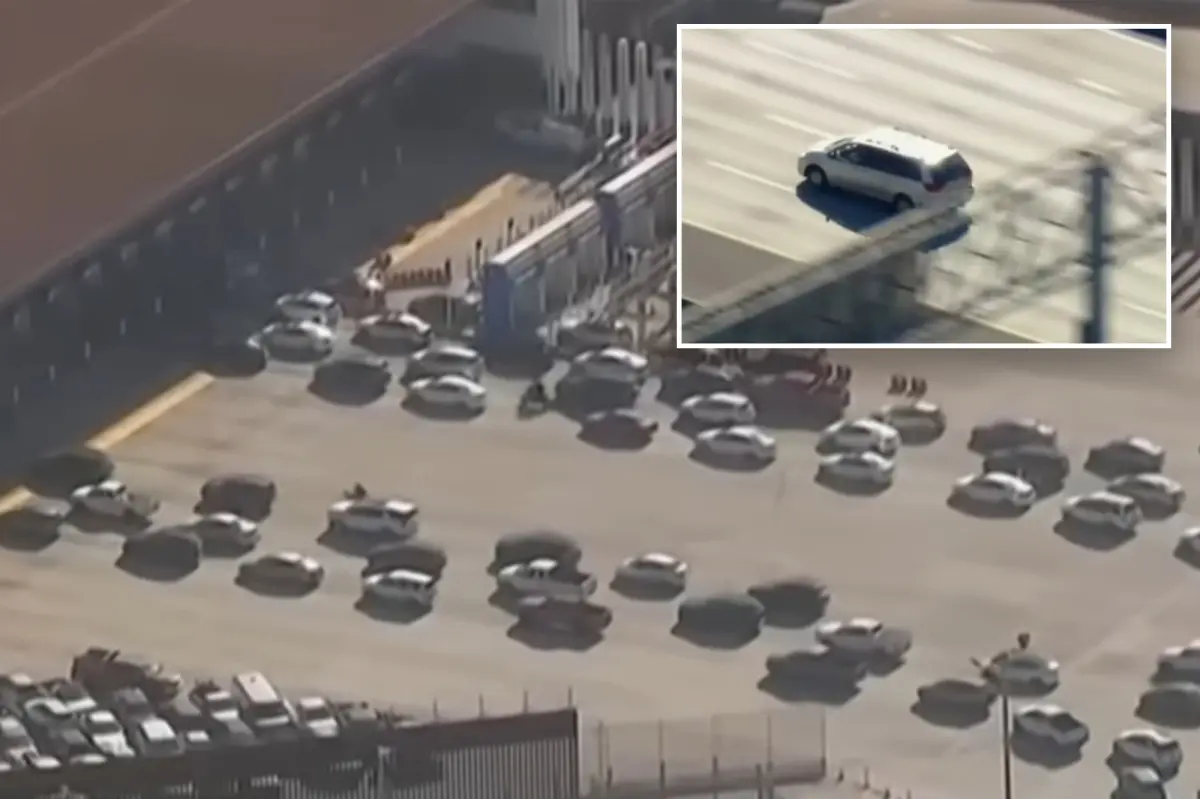 Alyssa Wilson persecución Tijuana